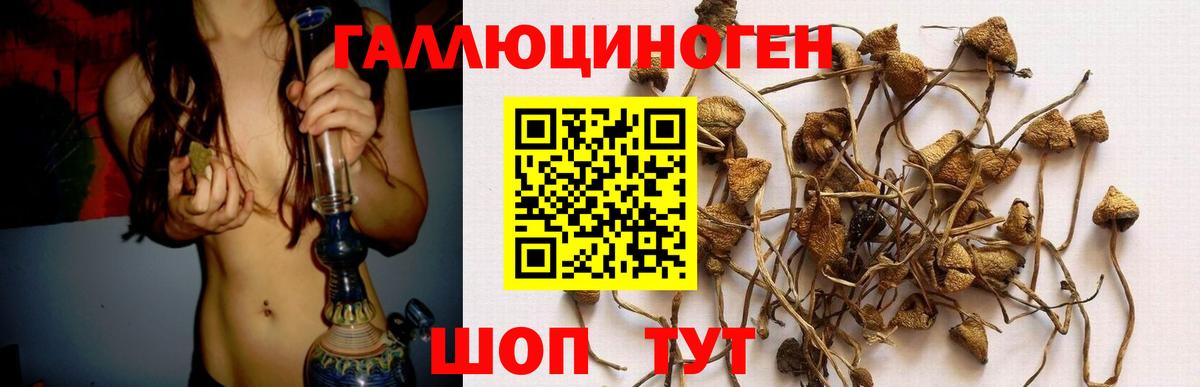 Псилоцибиновые грибы прущие грибы Ростов-на-Дону